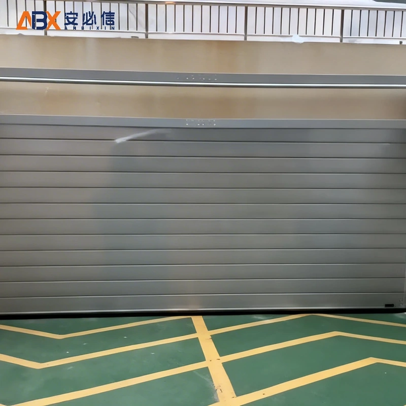 邵阳市感应高速门